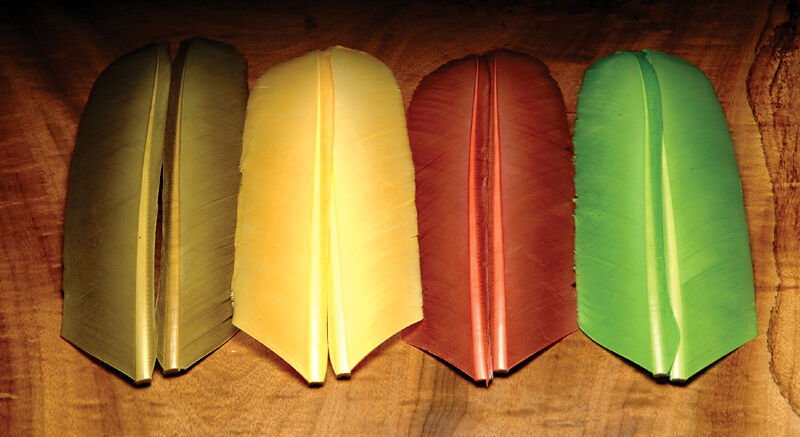 Fialové Biots z krocana (Turkey) tvrdé štěty