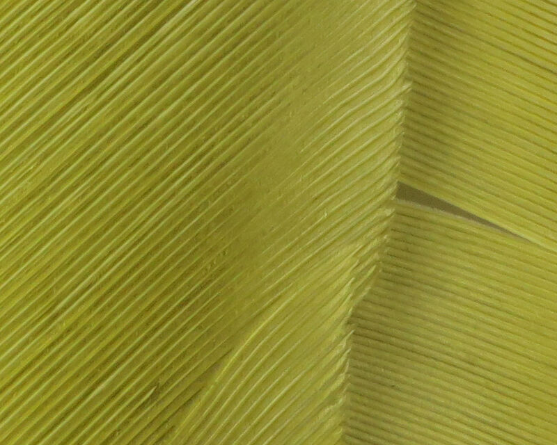 Žlutoolivové Biots z krocana (Turkey) tvrdé štěty