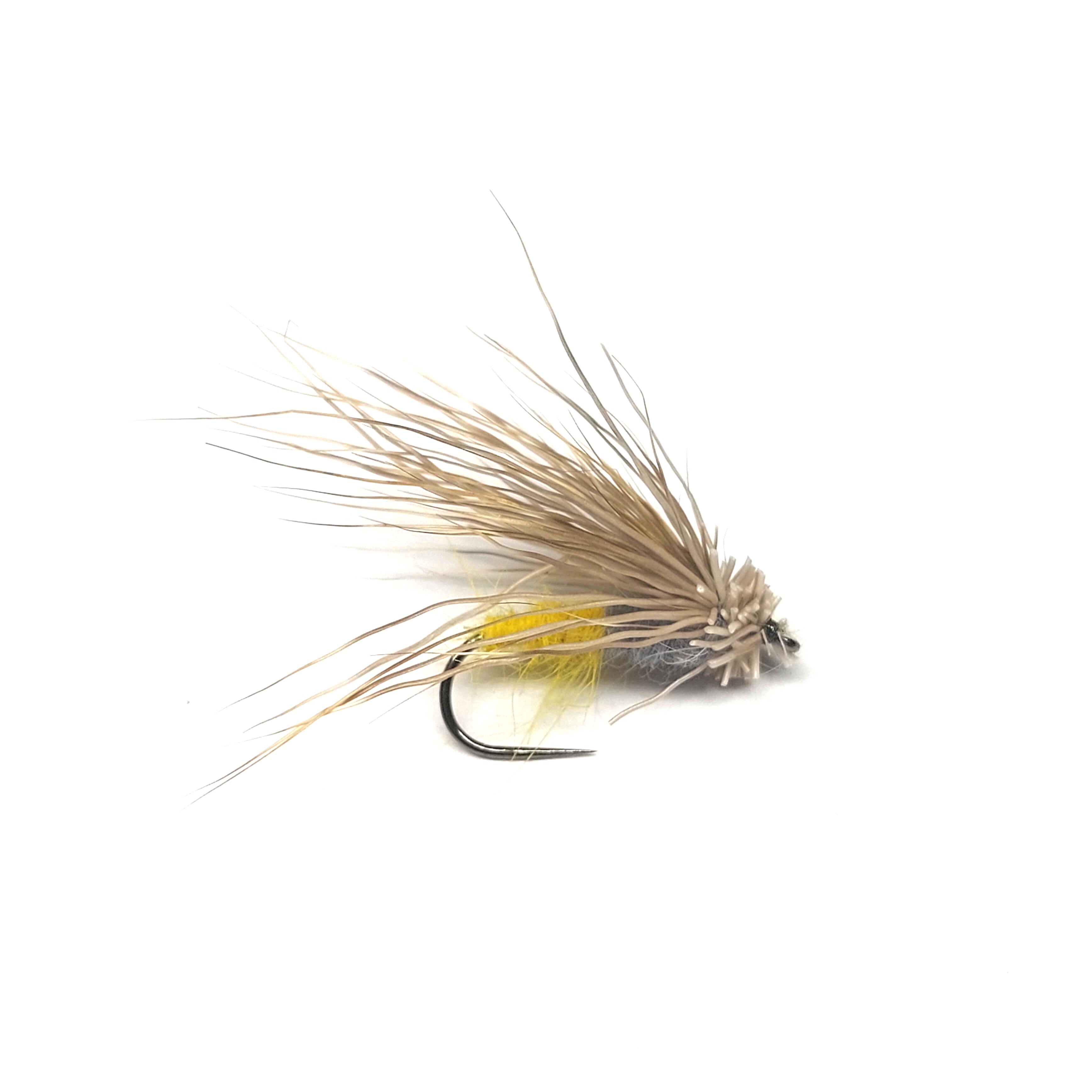 Yellow Caddis 2