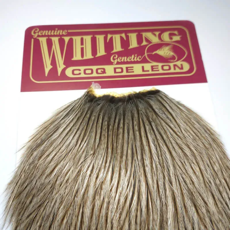 Sedlový skalp z Coq de leona - 10 srpků, Whiting