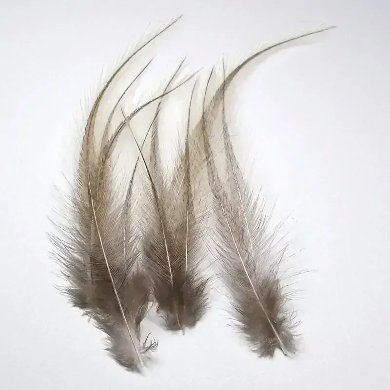 Sedlový skalp z Coq de leona - 10 srpků, Whiting