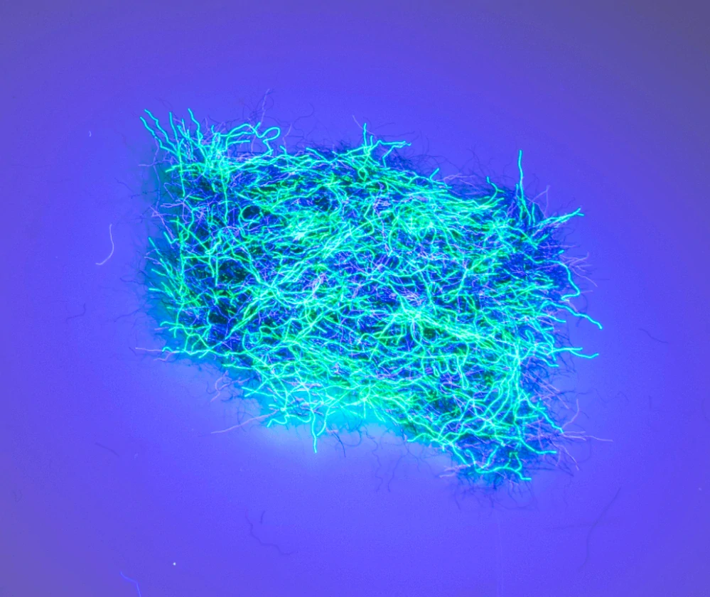 NUCLEAR NYMPH DUBBING - Green black