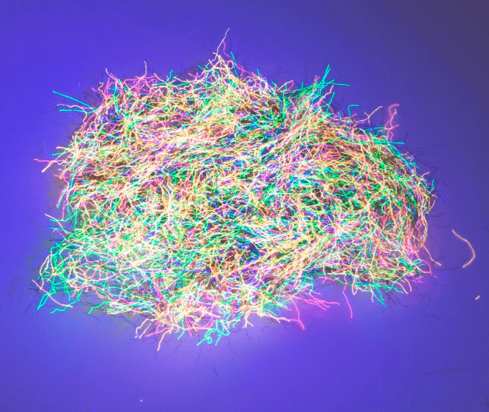 NUCLEAR NYMPH DUBBING - Tutti Fruti Black