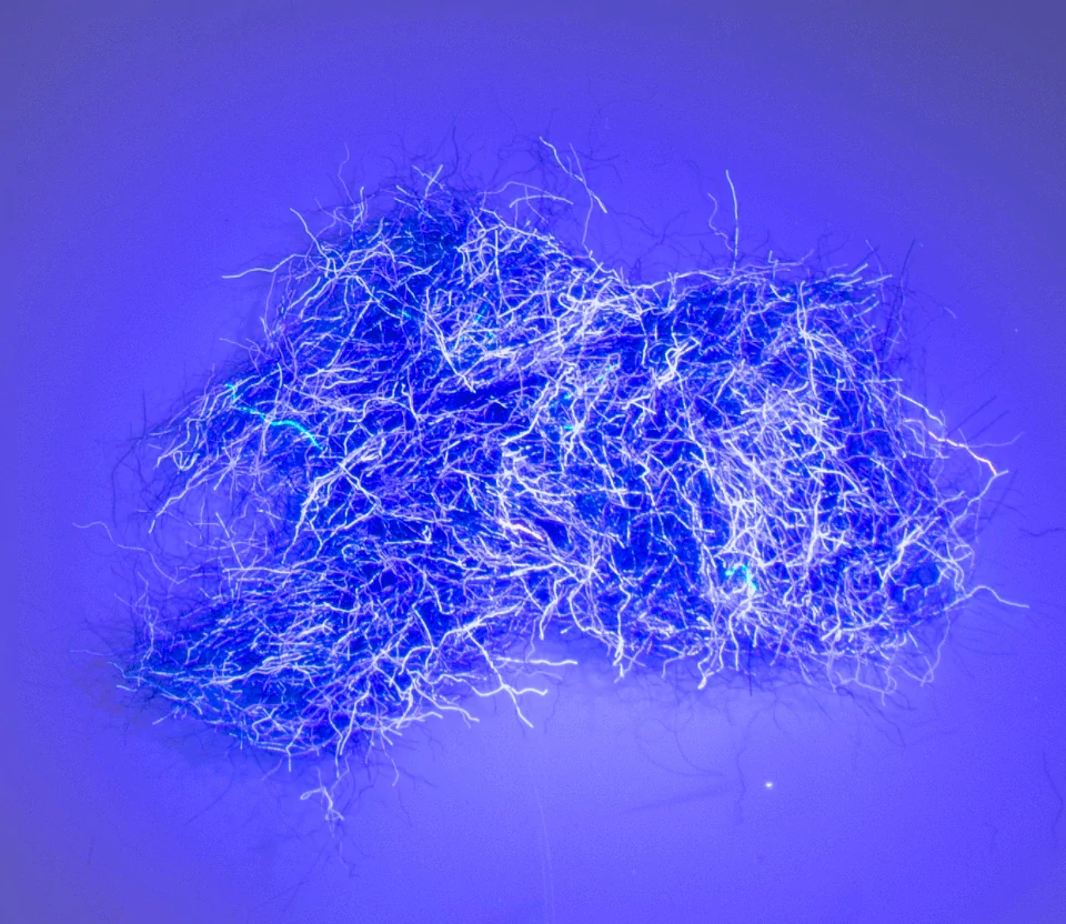 NUCLEAR NYMPH DUBBING - Paris Spice Blue