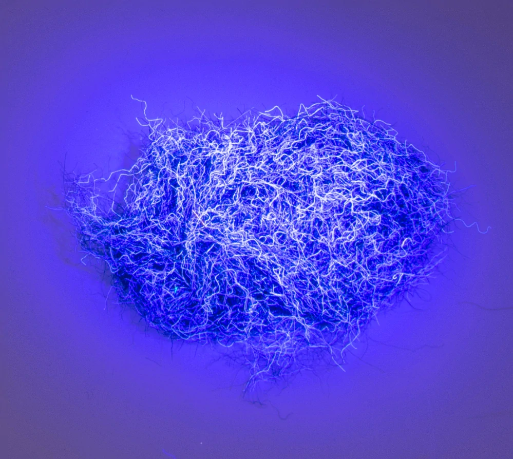NUCLEAR NYMPH DUBBING - Paris Blue Tutti Fruti