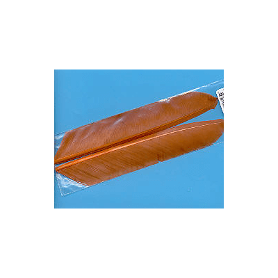 Zrzavé Biots z krocana (Turkey) tvrdé štěty