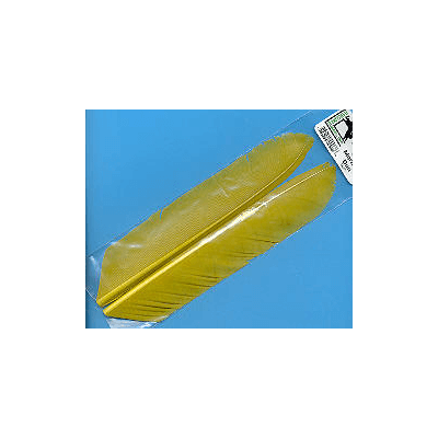 Světležluté Biots z krocana (Turkey) tvrdé štěty