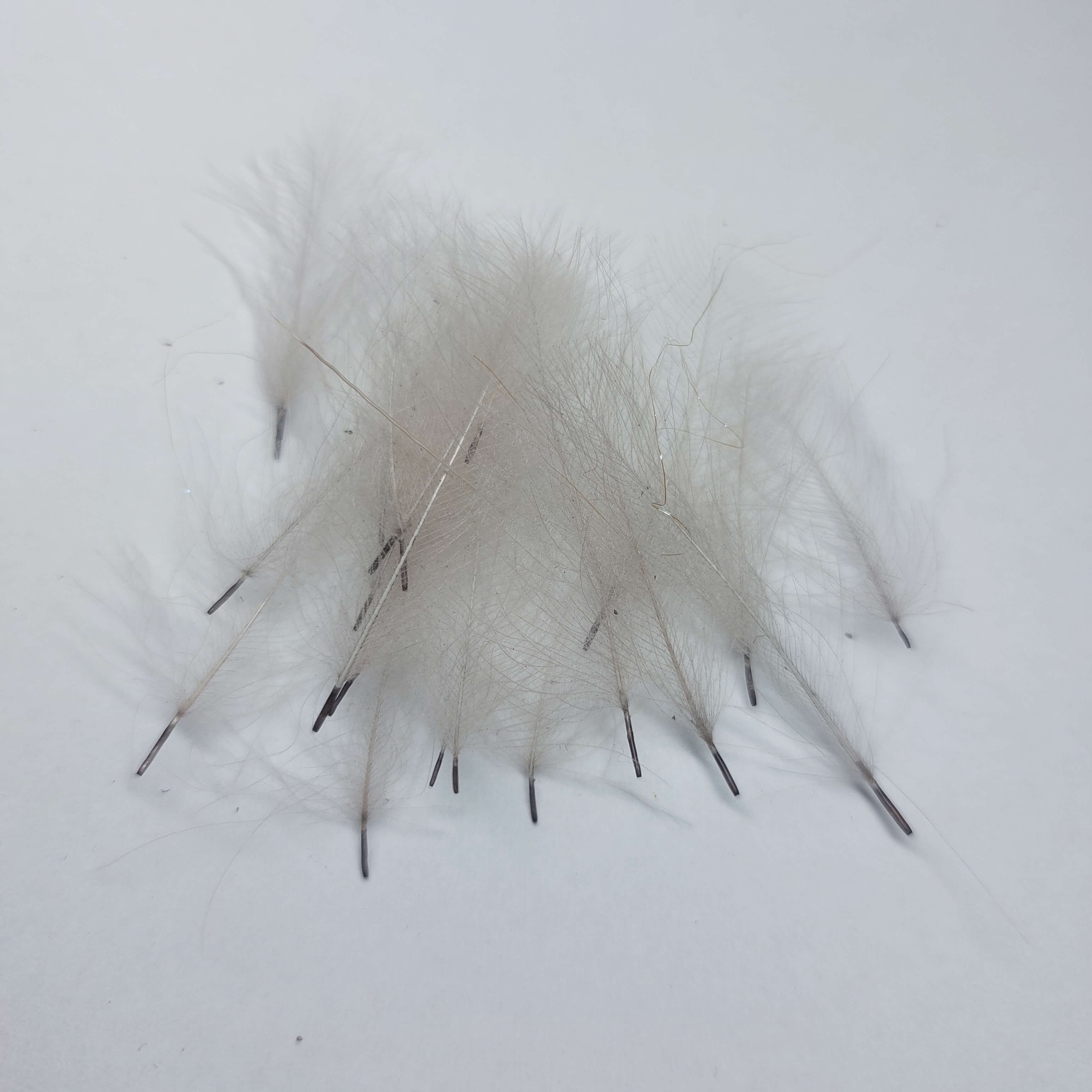 Světlešedé CDC, JISI, 20ks