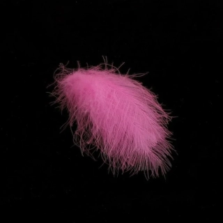 RŮŽOVÉ CDC, HENDS