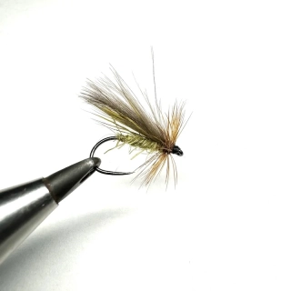 Olive Sedge