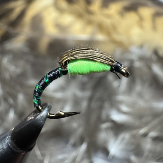 Chartreuse pakomár